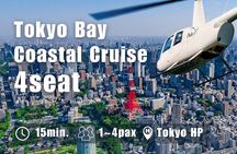 【15mins-4pax】Tokyo Bay Coastal/Tokyo Skytree and Tokyo Station