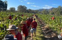 Full Day Private Wine Tour Exclusively Tailored To Suit You