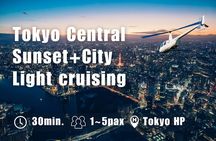 【30mins-5pax】Tokyo Departure: Sunset & Night Cruising Flight
