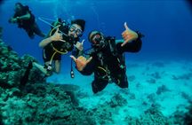 Introduction: Diving from the Reef in Sharm El Sheikh