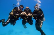 Introduction: Diving from the Reef in Sharm El Sheikh