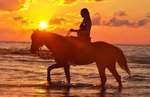 Horseback riding or camel at sunset in Djerba