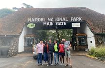 Nairobi National Park & Giraffe Center : Afternoon Game Drive