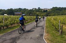 Bordeaux Monuments, Vineyards & wine tasting Gravel Bike Tour 