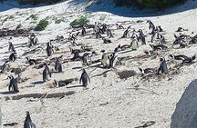 Full Day Tour for Cape of Good Hope & Boat to Seals Island