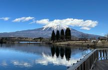 Mt.Fuji area Tour from Shimizu Port /Sedan Taxi