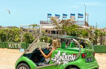 Private Guided Tour of Sal Island | Electric Car with Audio Guide