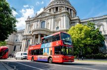 24 Hour Hop on Hop off bus tour with River Cruise & Walking Tours
