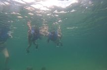 San Juan Turtle Spotting Snorkel Adventure with Videos