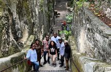 Sightseeing/Historical adventure through Nassau