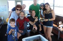 Salt Marsh Safari Birding and Wildlife Cruise on The Skimmer