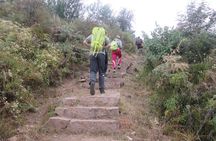 3-Day Trek Tour to Andringitra Park