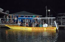 Luminous Lagoon Glistening Waters Tour from Montego Bay Jamaica