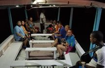 Luminous Lagoon Night Tour from Montego Bay