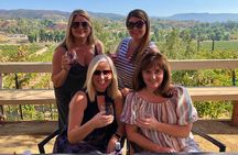 Temecula Wine Tour from San Diego