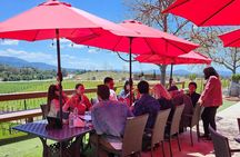 Temecula Wine Tour from San Diego