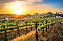 Temecula Wine Tour from San Diego
