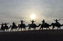 Marrakech: Sunset Dinner in Agafay with Show and Transport 