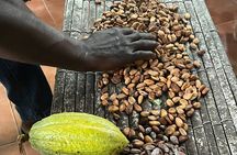 Aburi Botanic Gardens, Boti Falls,Umbrella Rock & Cocoa Farm Tour