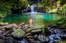 Hue Adventure Trekking and Sightseeing in Bach Ma National Park