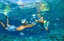 Phi Phi Islands Day Tour from Khaolak