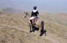 4-Day Horseback Riding Tour in the Nuratau Mountains