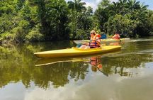 Phu Quoc Northern Island Kayak Adventure Day Trip