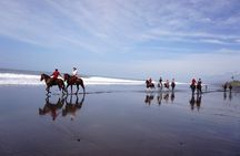 Bali Horse Riding on the Ricefields & Beach