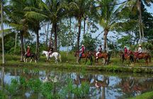Bali Horse Riding on the Ricefields & Beach