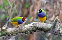 Private Jeep Safari - Canoeing - Jungle Walk in Chitwan 