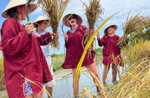 Hoi An Eco Tour Market, Farming, Cooking Class with Foot Massage