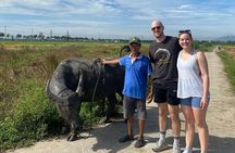 Hoi An Eco Tour Market, Farming, Cooking Class with Foot Massage