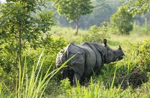 Half Day Private Jeep Safari in Chitwan National Park