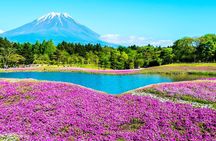 Mt. Fuji 5th, Oshino Hakkai, Onsen Full-Day Trip From Tokyo
