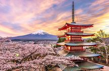 Full Day Tour at Mt. Fuji, Onsen, Lake Kawaguchi and Yamanaka