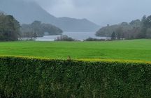 Dingle Peninsula Private Minibus Day Tour of the Fields of Gold