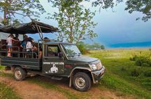 Half Day Private Jeep Safari in Chitwan National Park