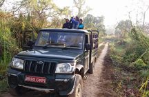 Half Day Private Jeep Safari in Chitwan National Park