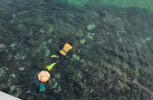 Private Shore Excursion (Jeju City Port) : Select EN Guide Level