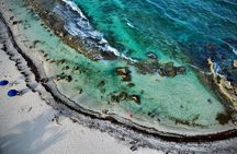 Cozumel: San Gervasio Mayan Ruins Excursion