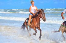 Ride Horses at the Beach with free transportation.