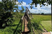 Kauai Island Tour : Journey to Waimea Canyon & More Highlights