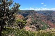 Kauai Island Tour : Journey to Waimea Canyon & More Highlights