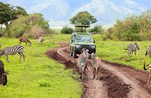 2 Days Camping Group Joining Tarangire Ngorongoro Crater Safari