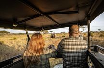 2 Days Camping Group Joining Tarangire Ngorongoro Crater Safari