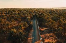 Private Day Trip Ksar Ghilane Oasis