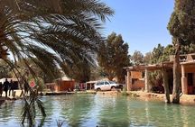 Private Day Trip Ksar Ghilane Oasis