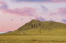 Tour from Djúpivogur for up to 6 persons