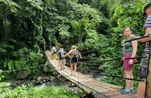 Dark View Falls & Botanical Gardens with Trubb Taxi Tours