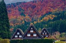 Takayama and Shirakawa Day Tour with Hida Beef Lunch from Nagoya
